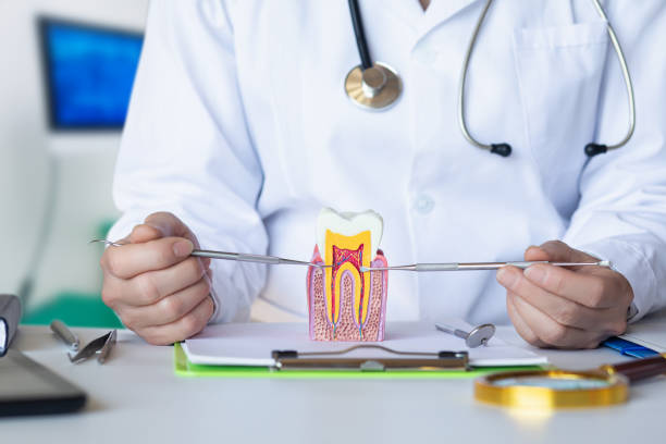 Best Emergency Dentist for Knocked-Out Tooth in Great Neck, NY